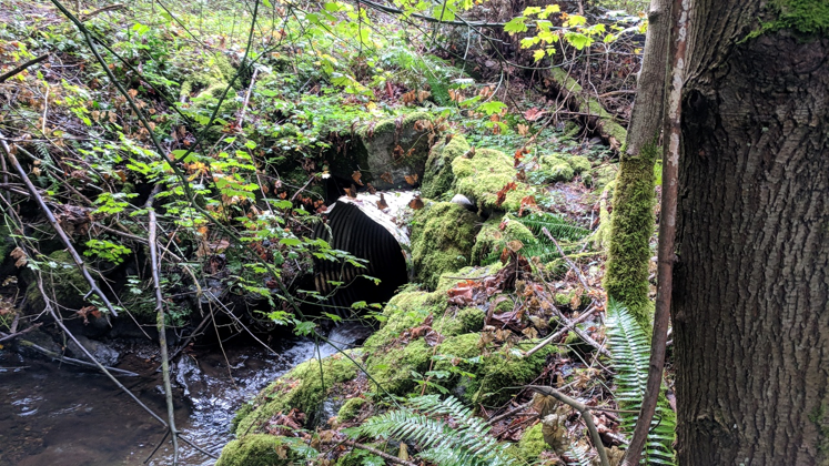 Madsen Tributary 0306a outfall pipe