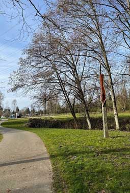 Skyway-West Hill green space