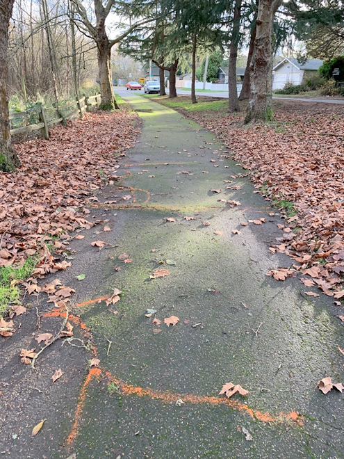 Trail along west side of White Center Ponds.