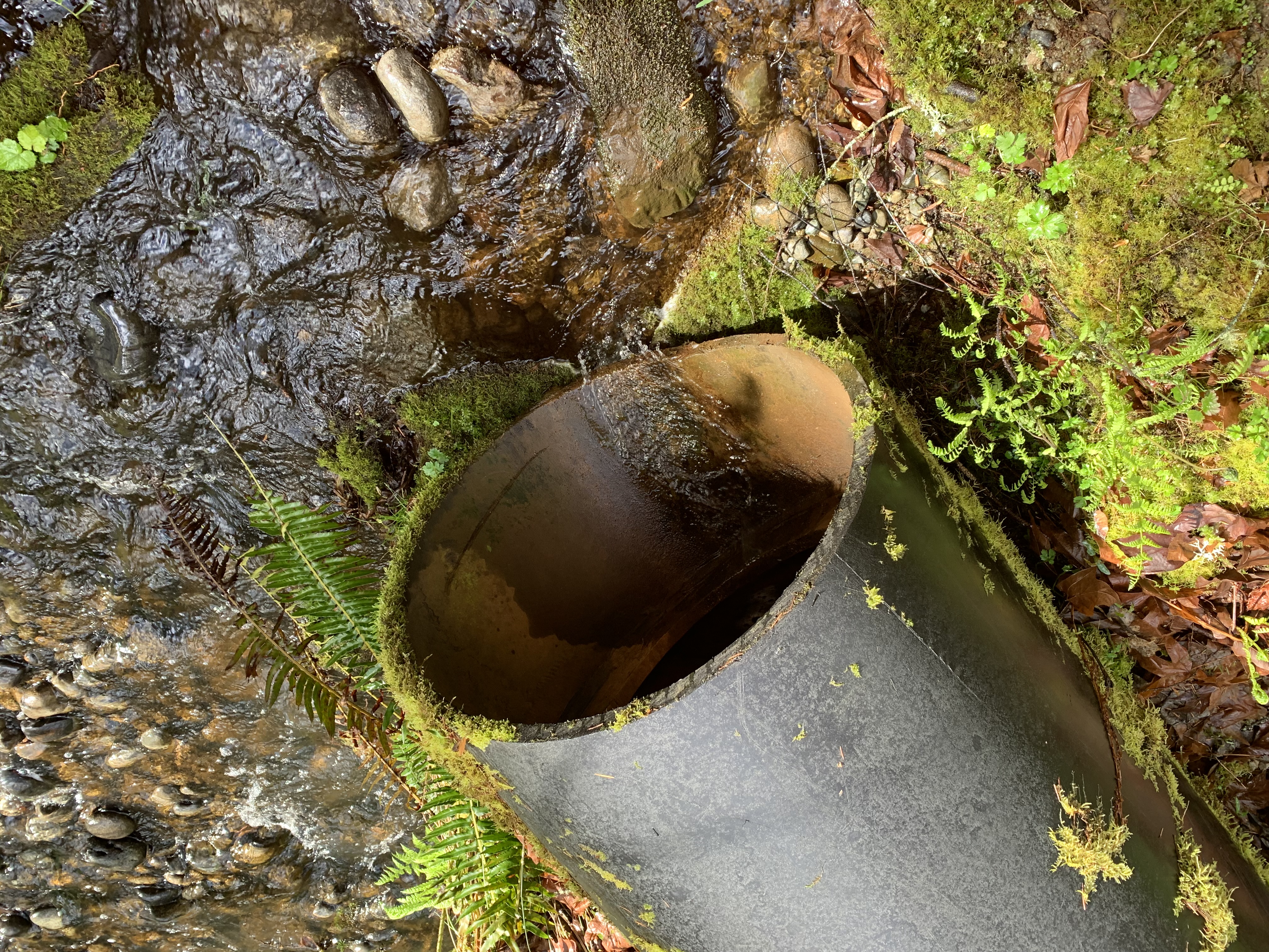 Water draining out of a stormwater pipe onto small rocks.