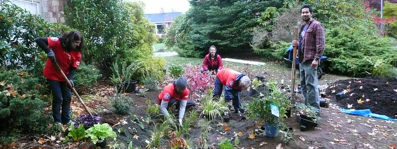 Group of people working together to build a rain garden.