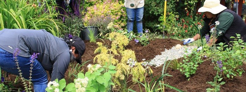 People working together to build and plant a rain garden.