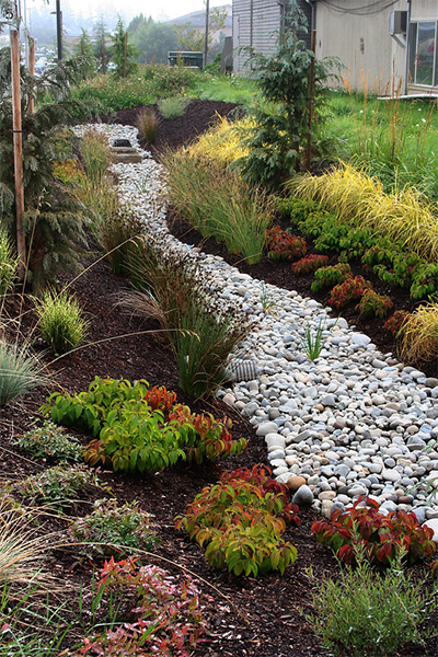 A rain garden that contains native plants, absorbent soil, and rock features.