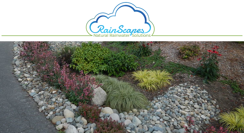 Image of rain garden with RainScapes logo