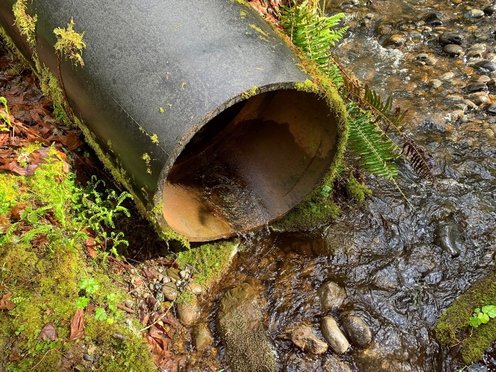A pipe with small trickle of water flowing out onto gravel and a stream.