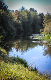 Sammamish River