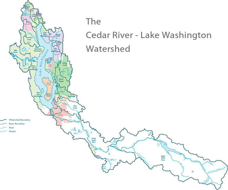 Cedar River - Lake Washington map