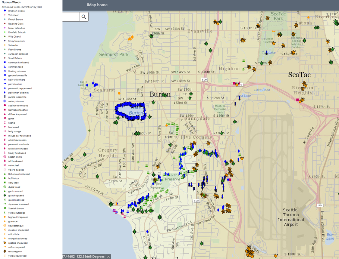 Map of locations of noxious weeds in Miller and Walker Creeks basin