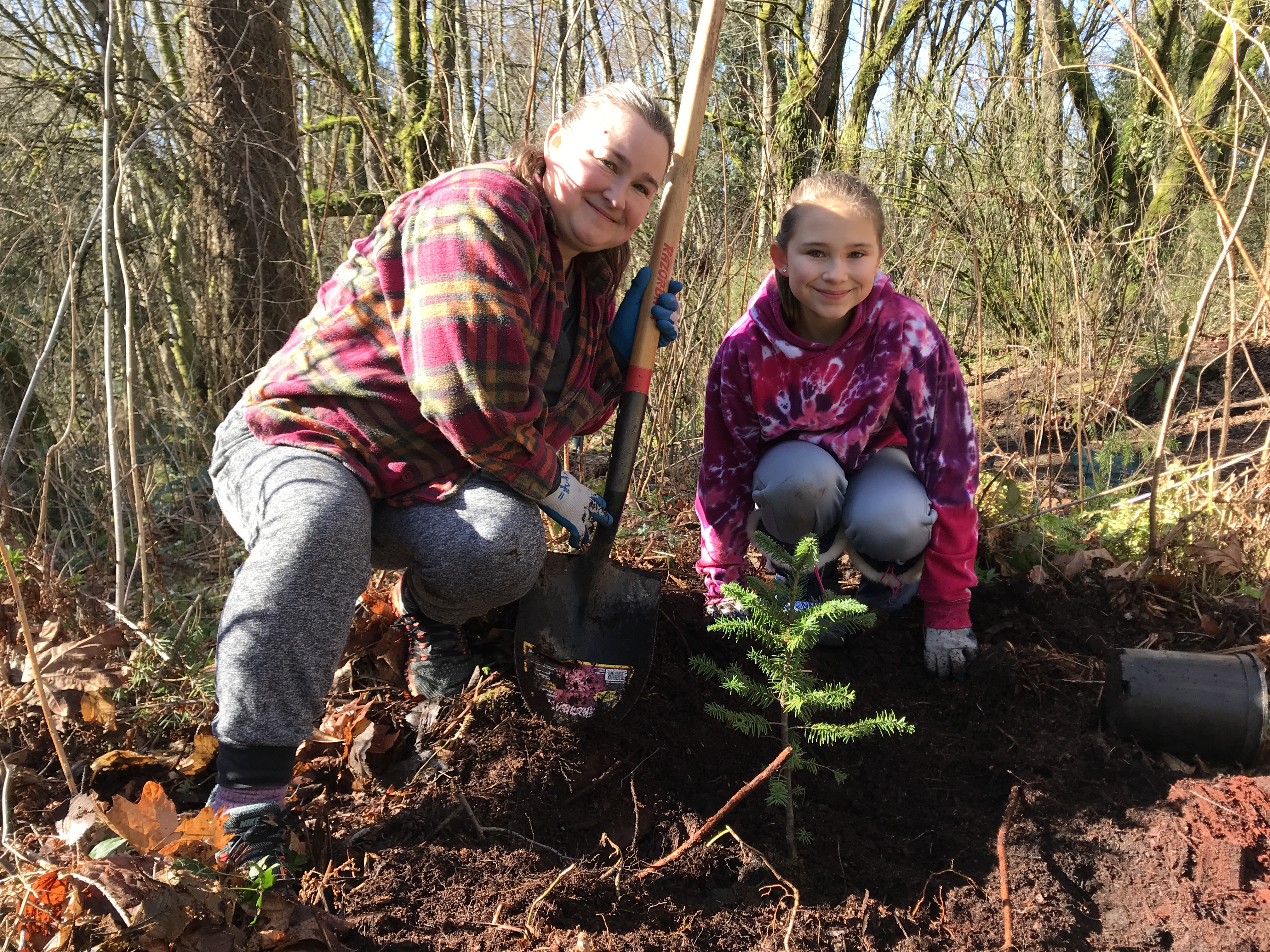 Planting trees