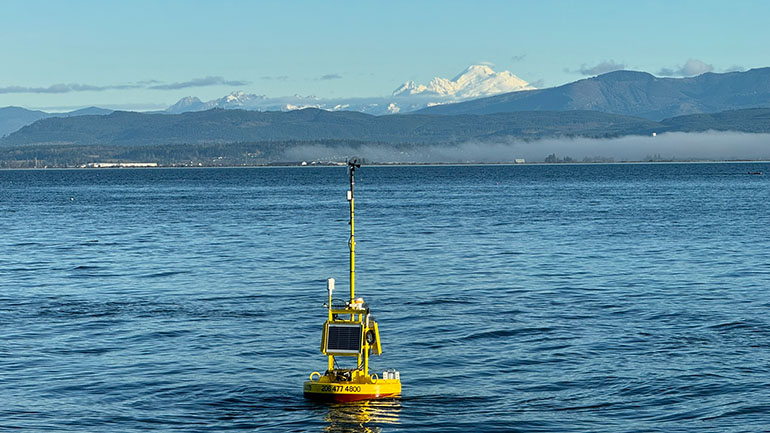 Water quality sampling buoy in Puget Sound