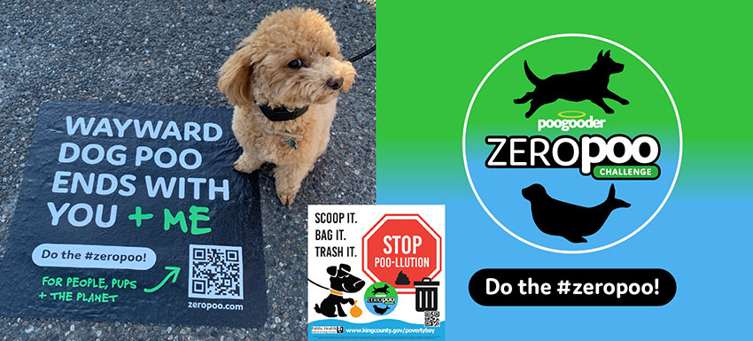 On the left, a brown dog stands on a sign that says wayward dog poo ends with you and me. On the right, a poogooder logo promoting the zero poo challenge.