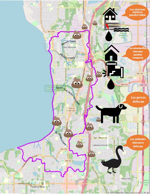 Map with a pink outline of Poverty Bay, icons of a septic system, broken side sewer, dog, and goose, and several poop emojis coming from the icons. 