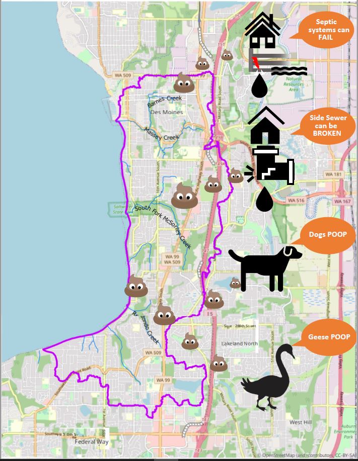 Map with a pink outline of Poverty Bay, icons of a septic system, broken side sewer, dog, and goose, and several poop emojis coming from the icons. 