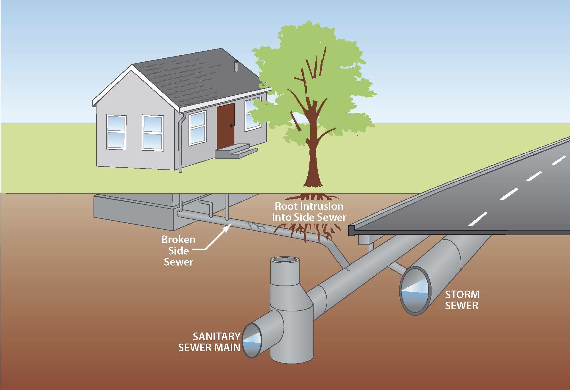 Illustration of a side sewer pipe going from a home into a sanitary sewer main line but with tree roots breaking into the side sewer pipe.