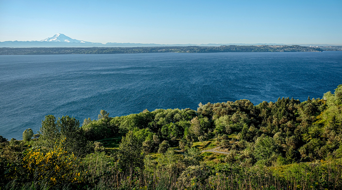 Sweeping view of trees, Puget Sound, Mount Rainier and blue sky.
