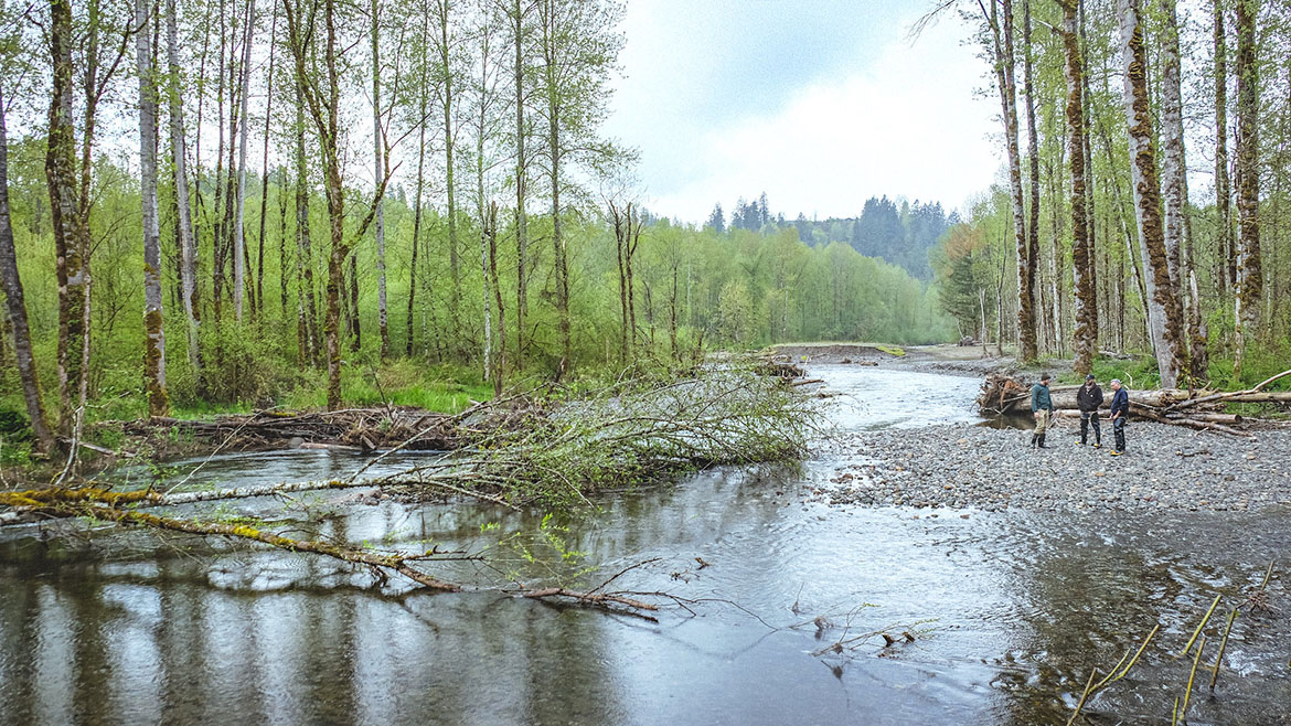 Green Duwamish River Watershed King County, Washington