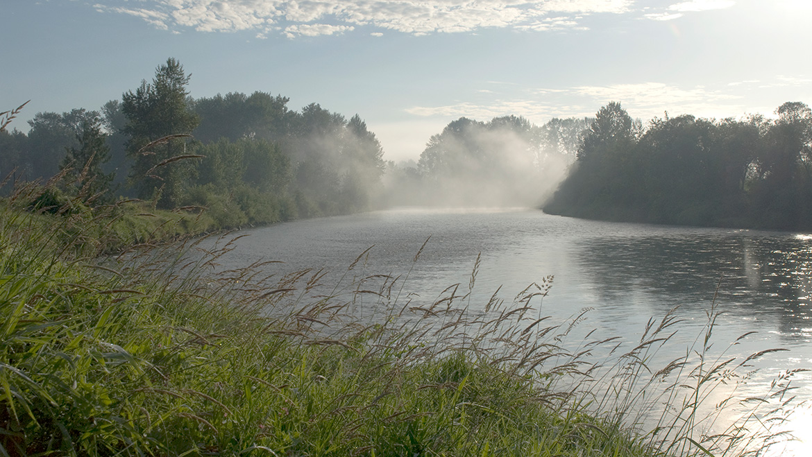 Snoqualmie River at Chinook Bend Natural Area
