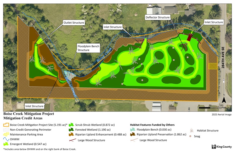 Boise Creek Mitigation Project 90% Design
