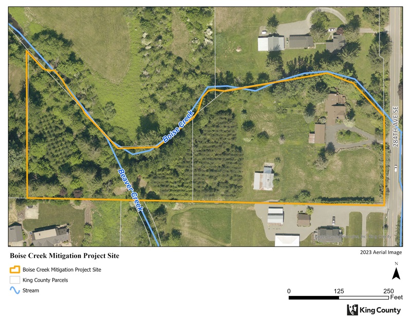 Boise Creek Mitigation Project Pre-Construction Property Map