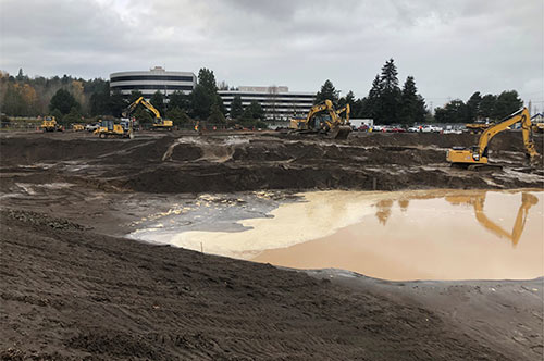 Mitigation project construction