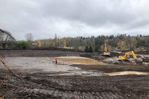 Mitigation project construction