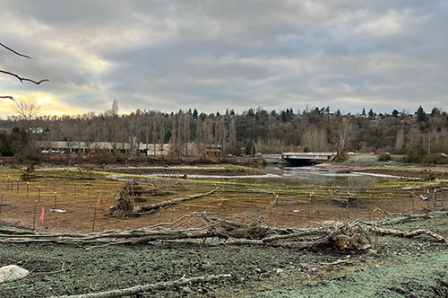 Mitigation project construction
