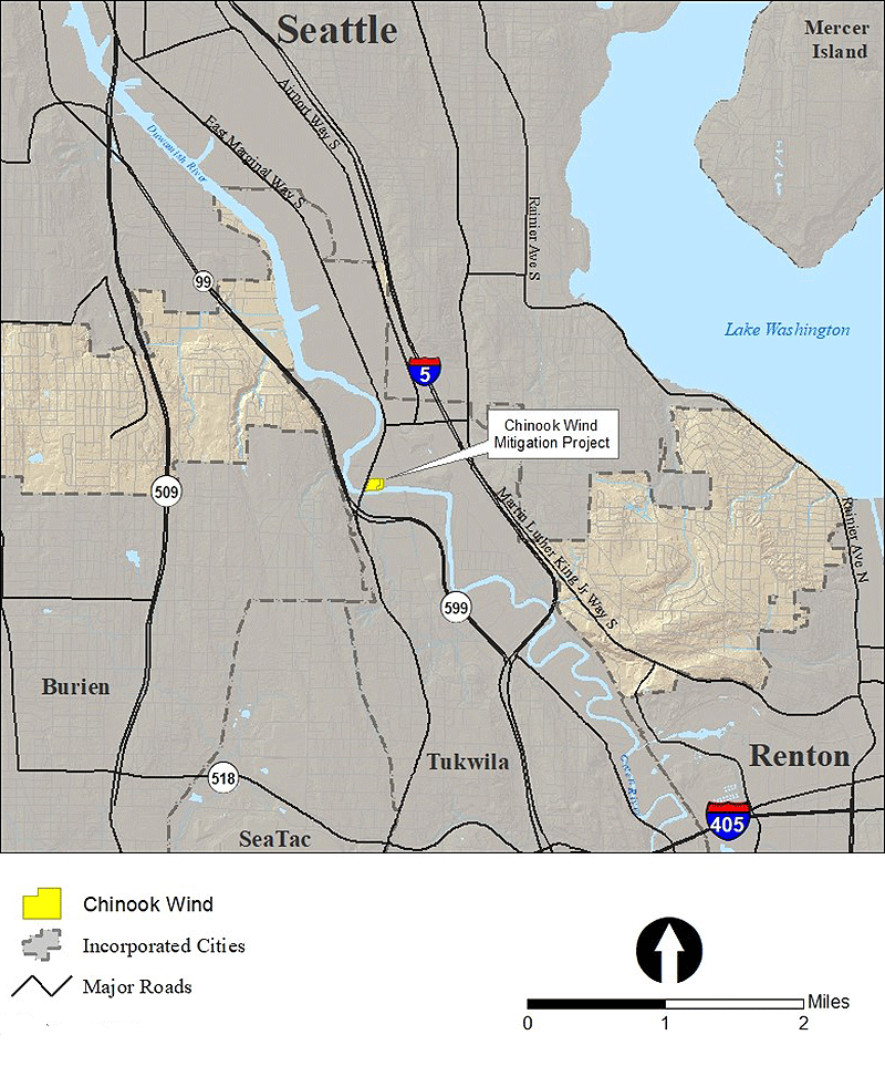 Aerial imagery of vicinity prior to mitigation project construction