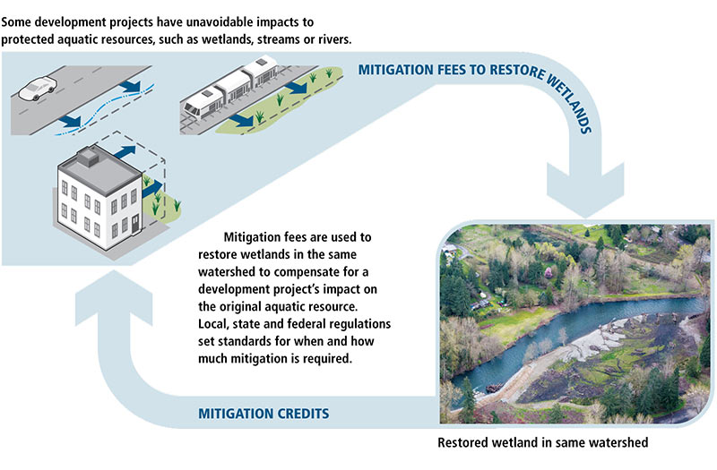 WHAT IS MITIGATION AND HOW DOES IT WORK? Some development projects have unavoidable impacts to protected aquatic resources, such as wetlands, streams or rivers. Mitigation fees are used to restore wetlands in the same watershed to compensate for a development project's impact on the original aquatic resource. Local, state and federal regulations set standards for when and how much mitigation is required.