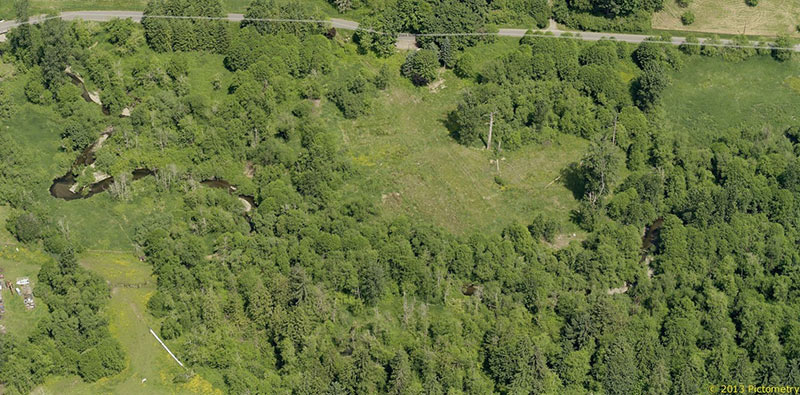 Issaquah Creek Mitigation Project Pre Construction Aerial