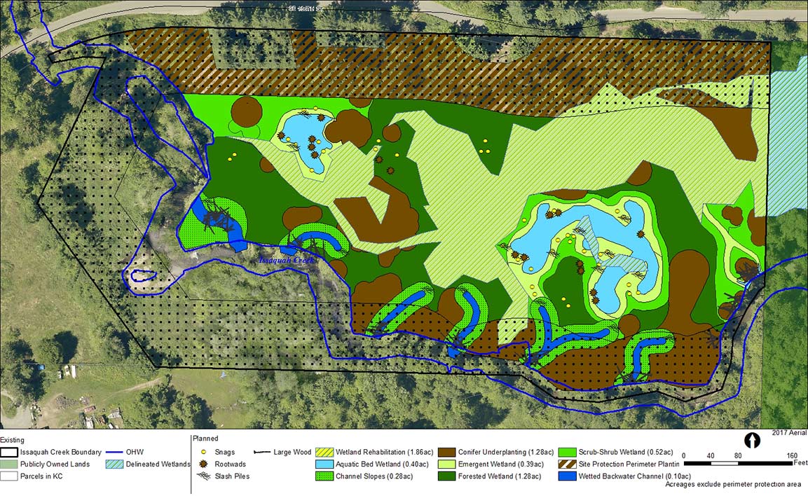 Issaquah Creek Mitigation Project Mitigation Credit Areas and Perimeter Protection