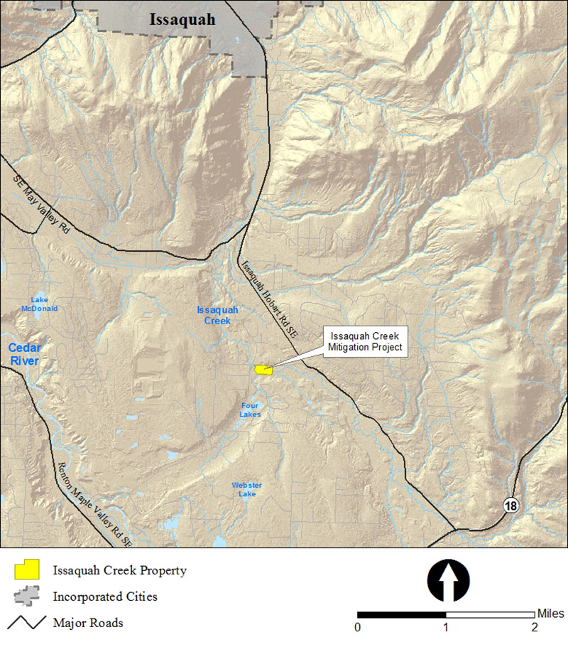 Vicinity Map Issaquah Creek Mitigation Project