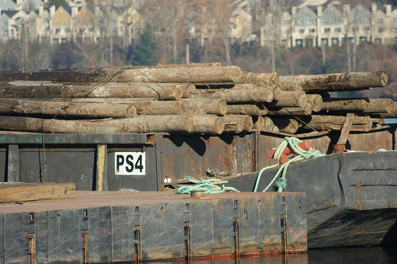 RAP Funded Boeing Pile Removal