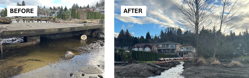 On the left, image of a concrete dock over water; on the right, the same area after the dock has been removed and a segment of Taylor Creek could be seen in the foreground.