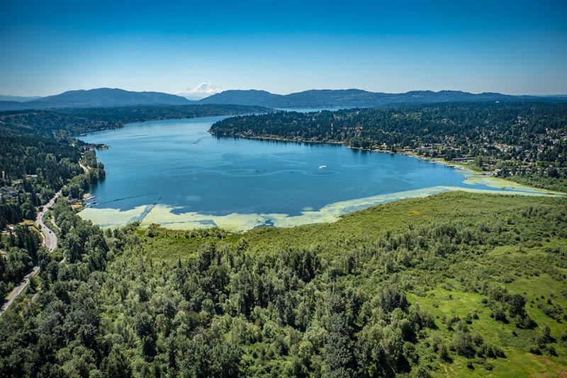 RAP Lake Samm Marymoor