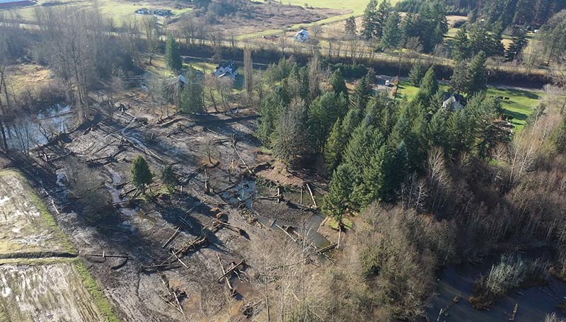 Taylor Creek Mitigation Project: Constructed Summer 2019 (Photo Fall 2019)
