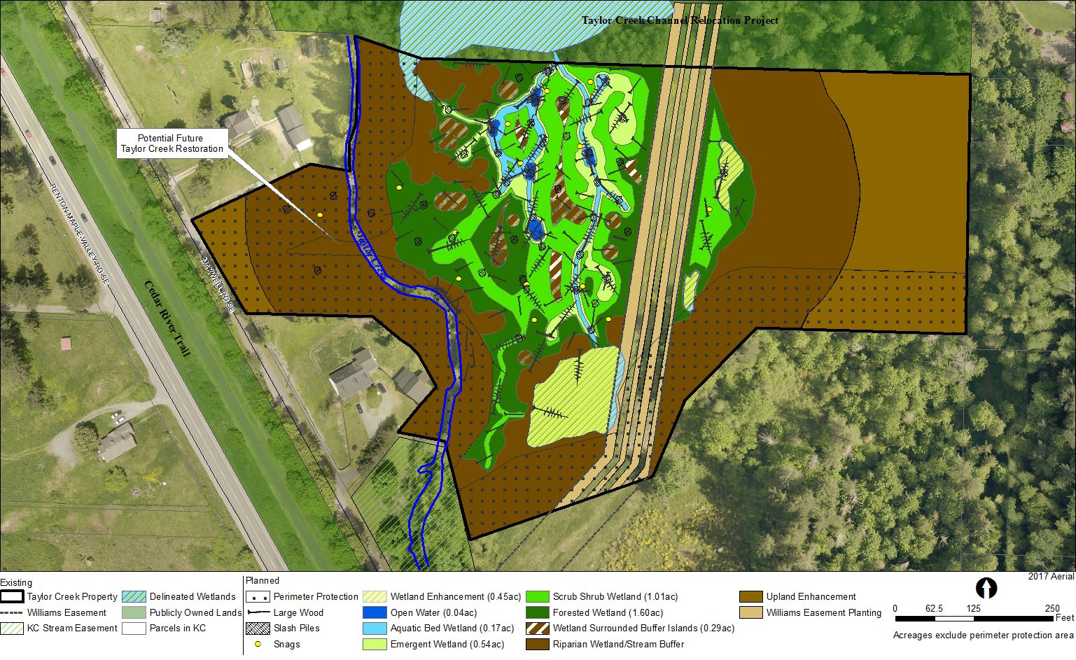 Taylor Creek (Cedar) Mitigation Project Design