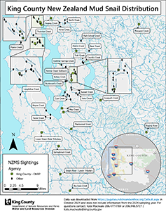 Small preview image of a map showing where mudsnails have been found in King County.