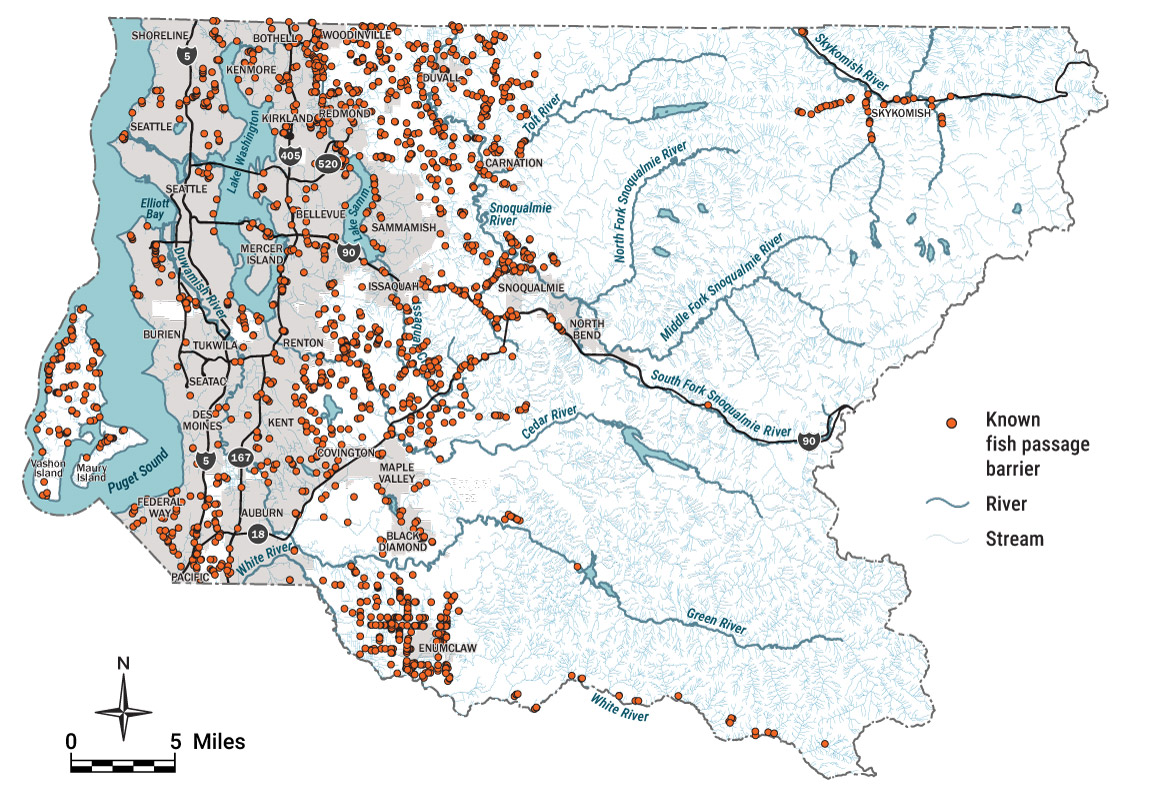 A map of King County with over 2,000 dots indicating known fish passage locations. Most of the dots are in the western half of the county with approximately 45 shown in the northeast corner along the Skykomish River and its tributaries.