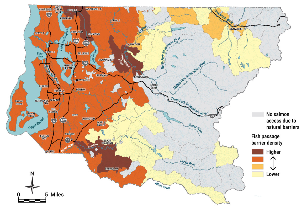 A map of King County with drainage basins colored for either no salmon access or one of four colors to indicate the density of barriers. The Sammamish River, the mainstem Snoqualmie River between the cities of Snoqualmie and Carnation, and a portion of the Green River basin between the cities Enumclaw and Black Diamond have the highest density of barriers. Most of the basins in western King County are the second highest tier of barriers.