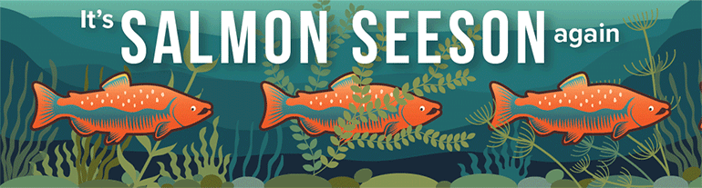 It's Salmon Seeson again - see salmon in King County rivers and creeks