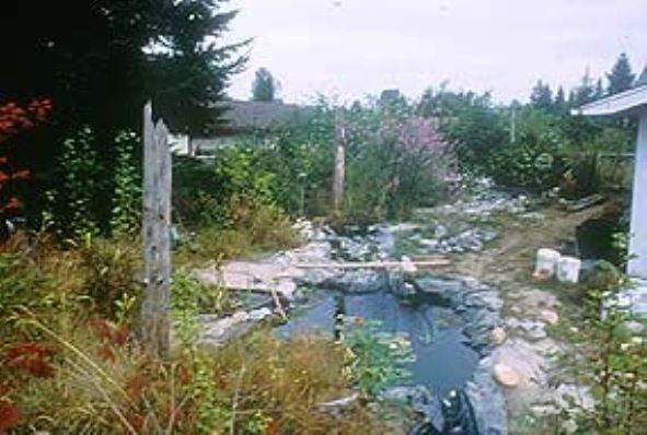 Lawn after naturescaping with native landscaping and a water feature.