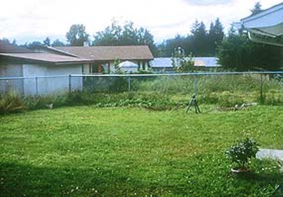 Lawn before naturescaping with lots of green grass in a fenced in yard.