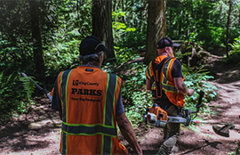 Two Park staff walk down a backcountry trail carrying tools