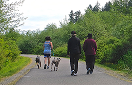 A woman with two dogs and an older couple travel down Soos Creek trail