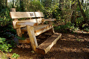 A wooden bench with a legacy plaque sits in a forest