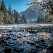 A misty photo of a river with evergreen trees in the foreground. The sun is shining in the background.