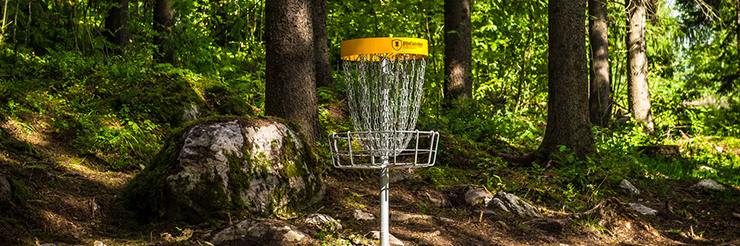 A metal disc golf basket stands in the woods