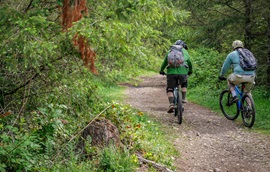 Two people riding their bikes on a trail in the woods