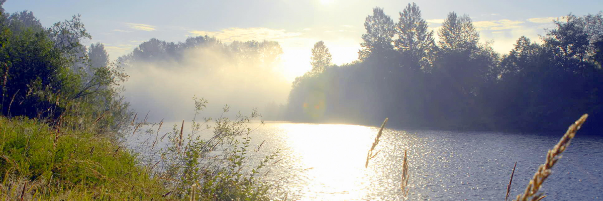 Early morning light shines on the river at Chinook Bend