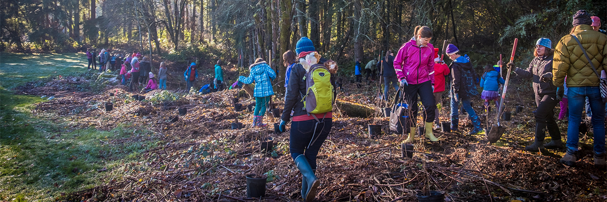 Volunteers work on planting at Big Finn Hill